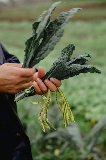 Vegetable Twist Ties