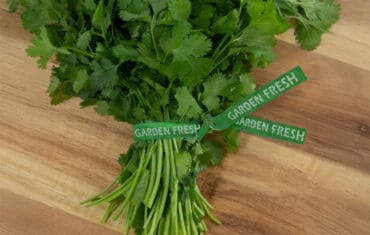 Vegetable Twist Ties