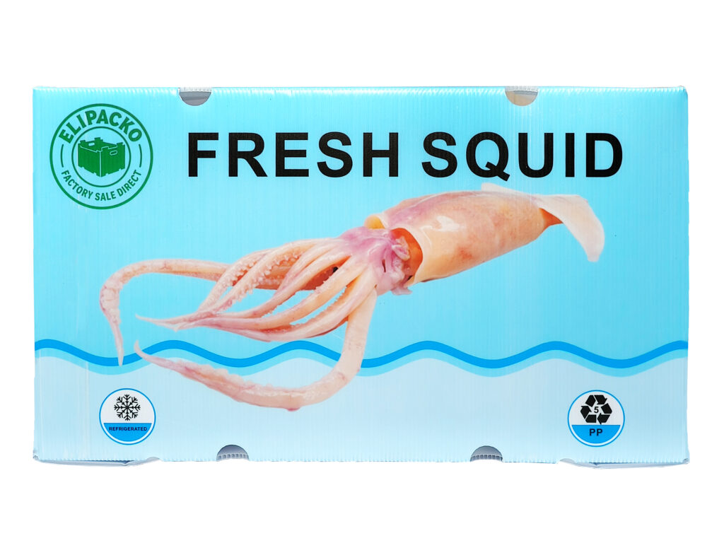 Squid shipping box