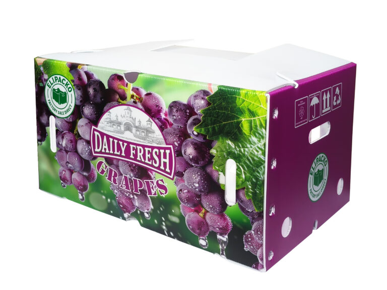 Ventilated cardboard grape tray with high-quality color printing for branding