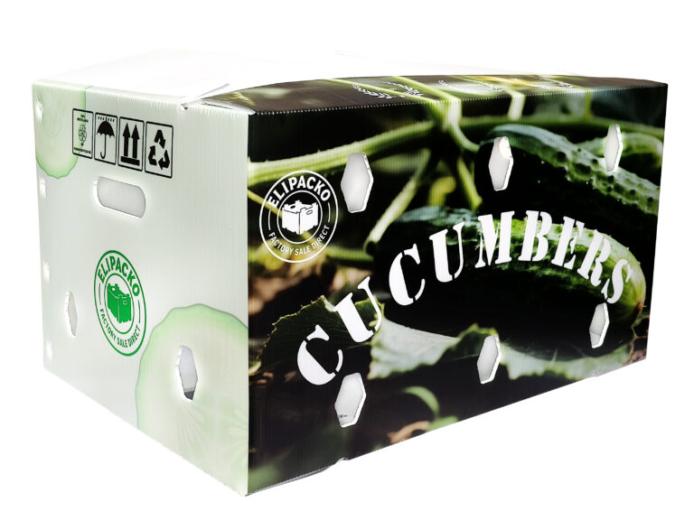 Ventilated cardboard cucumber crate with smooth interior to prevent skin damage