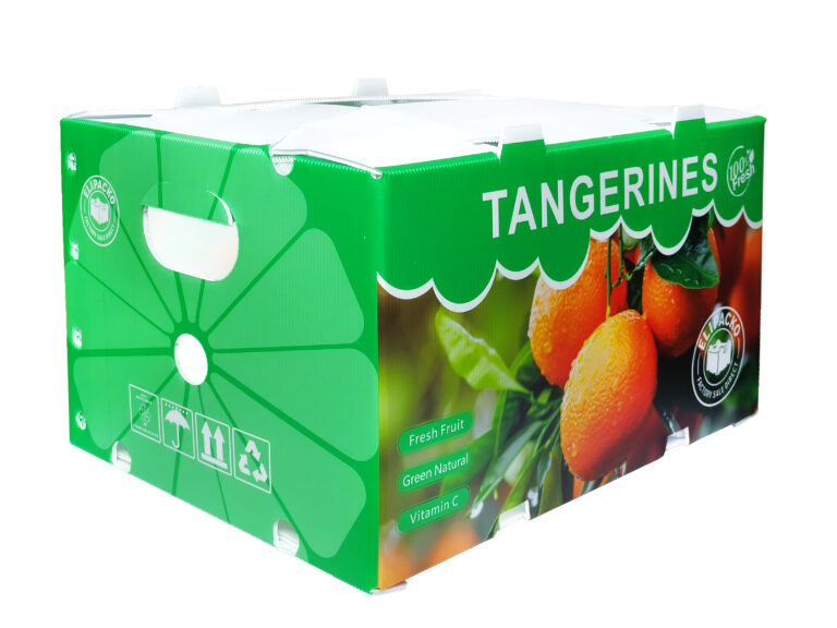 Breathable cardboard tangerine crate with side ventilation for long-term storage