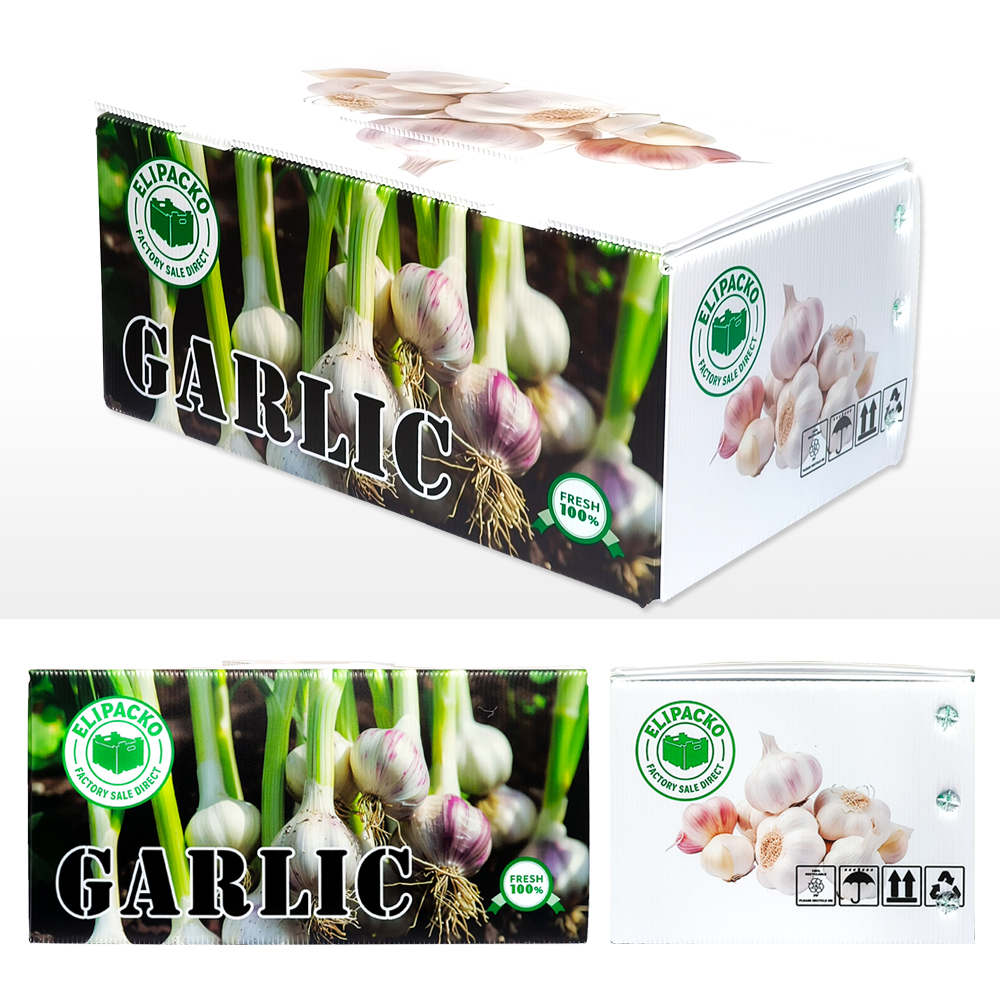 Garlic Box Ventilated corrugated garlic box for bulk storage and export