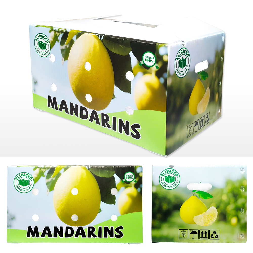 Mandarin Box Custom printed corrugated mandarin box with reinforced handles