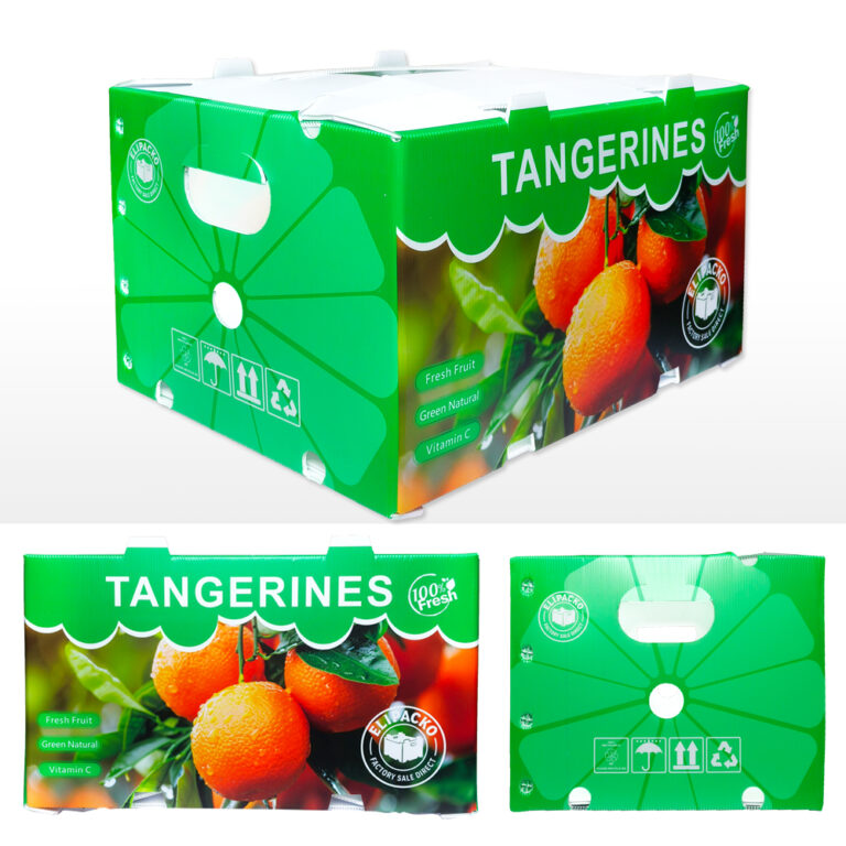 Reinforced corrugated tangerine box with custom branding for citrus export