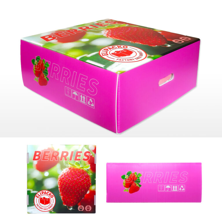 Ventilated corrugated strawberry tray for retail and export