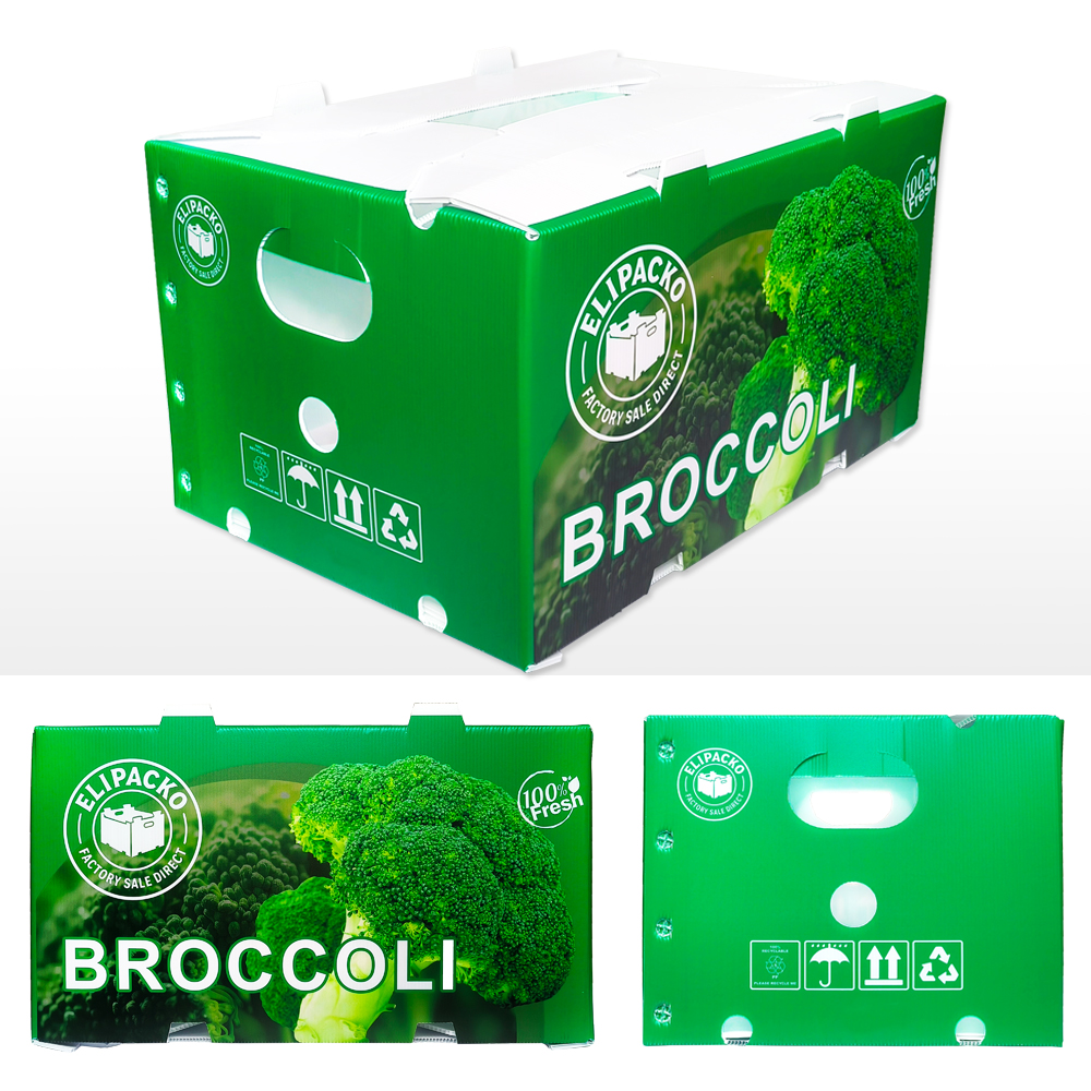 Broccoli Box Water-resistant corrugated broccoli box for iced vegetable shipping