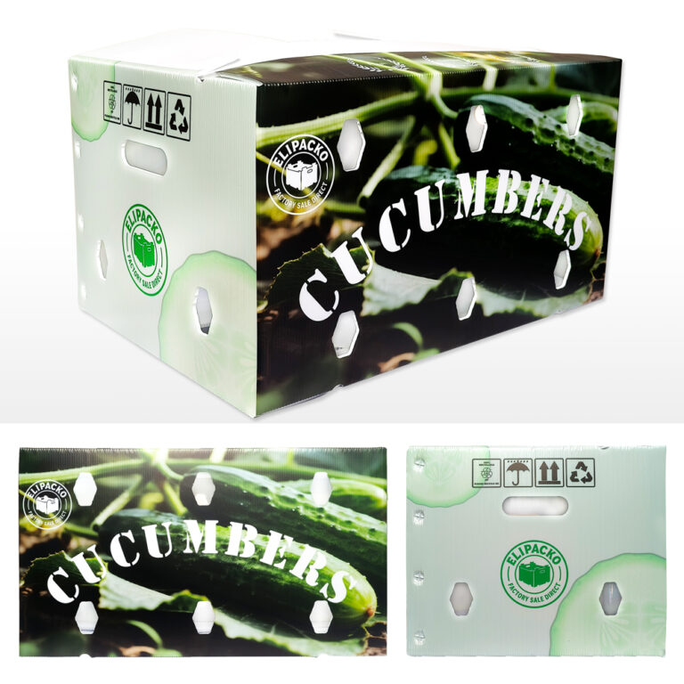 Long-format corrugated cucumber box for greenhouse and field harvest