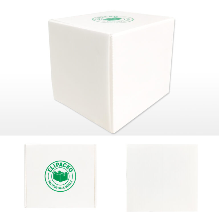 Custom printed corrugated mailer box for e-commerce and subscription packaging